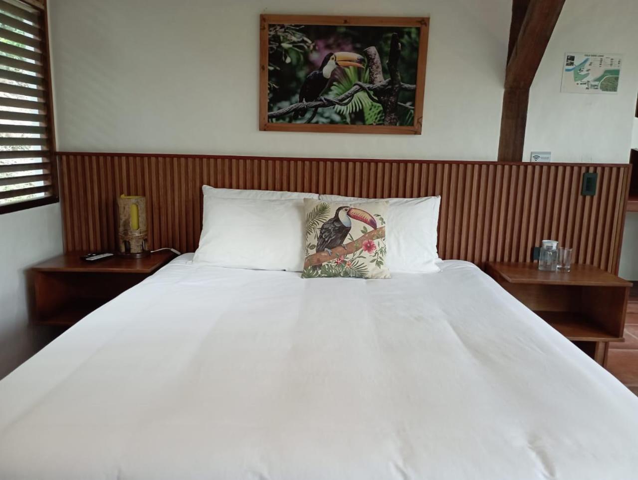 Cielo Verde Lodge Mashpi Luaran gambar