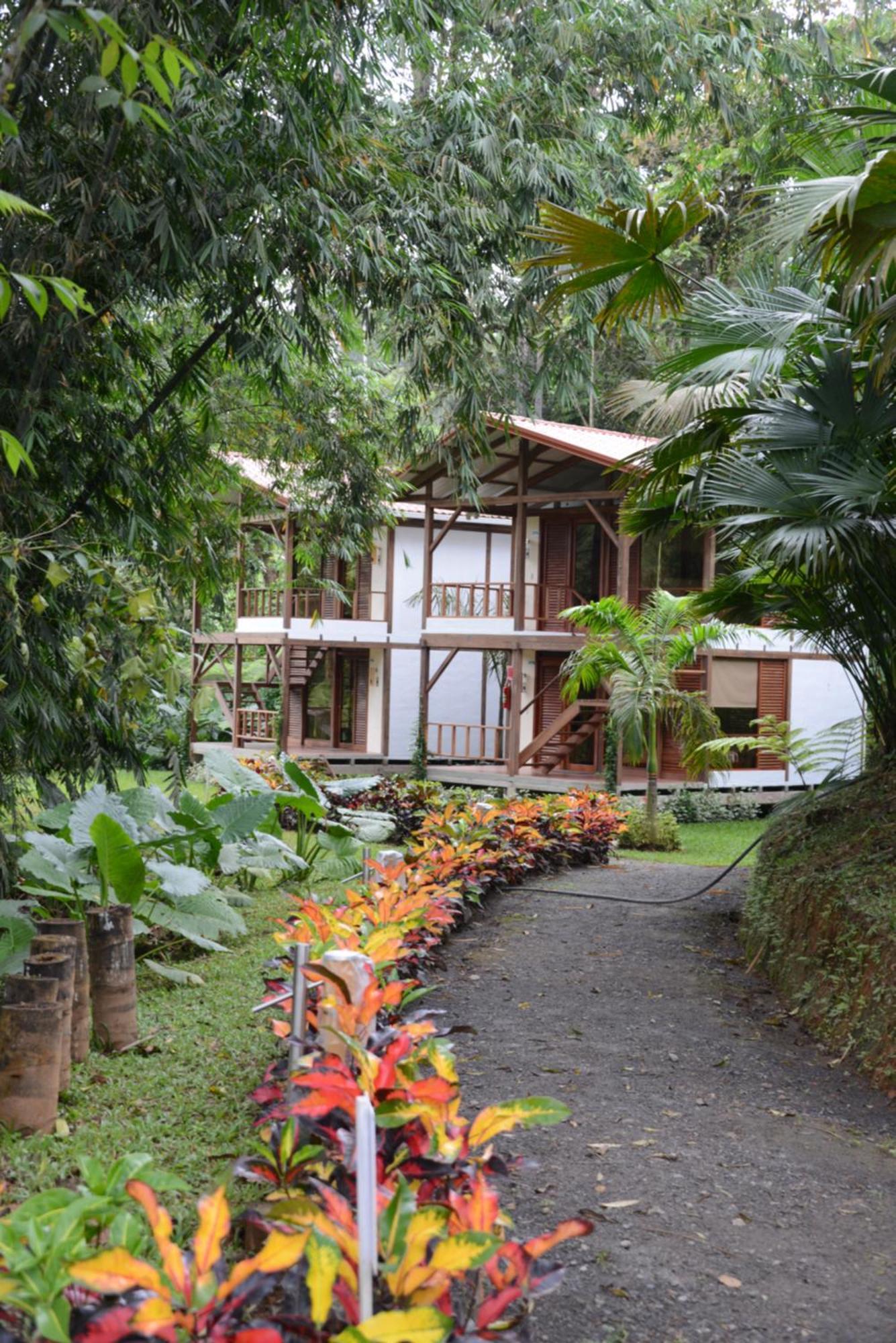 Cielo Verde Lodge Mashpi Luaran gambar